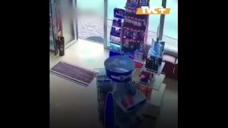 Раненый песик зашел в аптеку )))))))) mp4