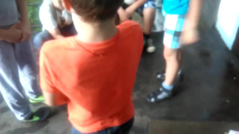 Политическая дискуссия © видеожесть