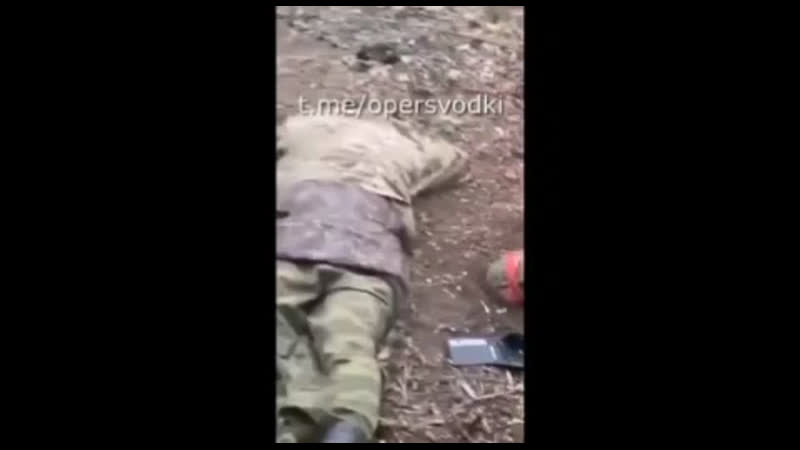 Лютуют на камеру