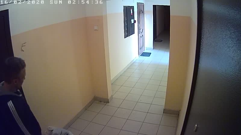 Ходит по подъезду