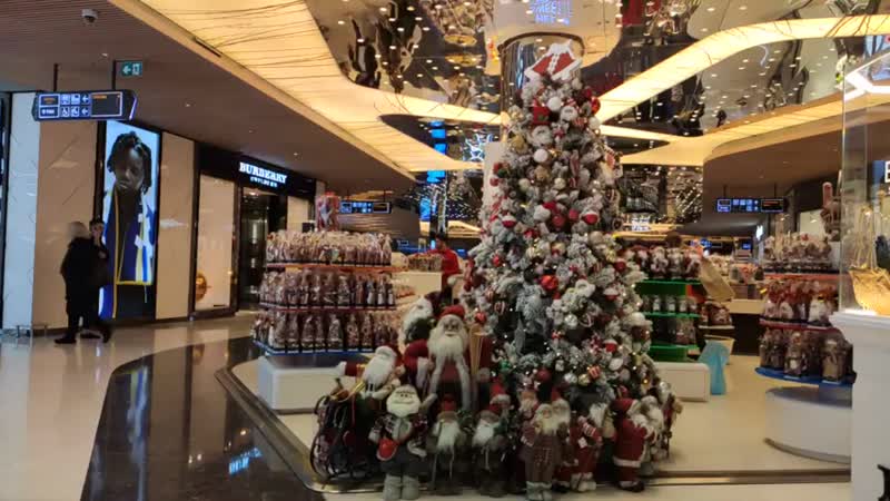 Seda güven &amp; öznur serçeler yilbaşi alişveri̇şi̇ zamani ! mp4