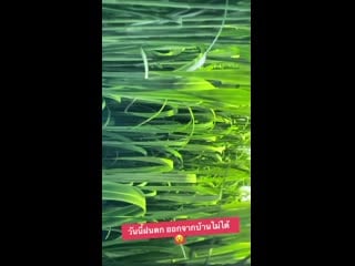 200315 chen rcj insta stories upd