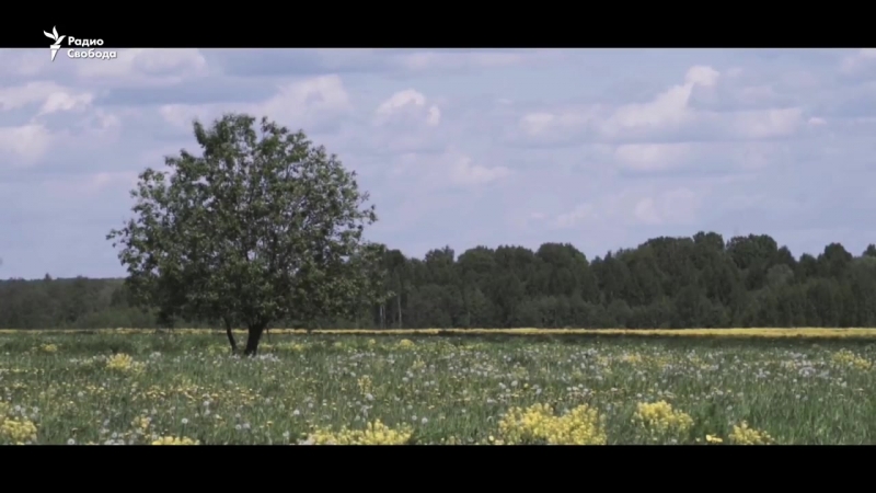 Миленький мой деревенская почта и ее обитатели