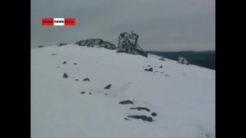Тау бородатый труп у перевала дятлова опознали