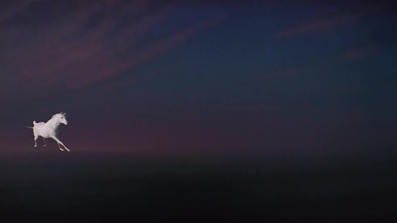 Слепая ярость,фильм 1989 год рутгер хауэр