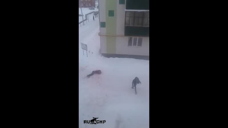 Вирджиния орыс порно Үлкен емізік ареоласының порно жұлдыздары