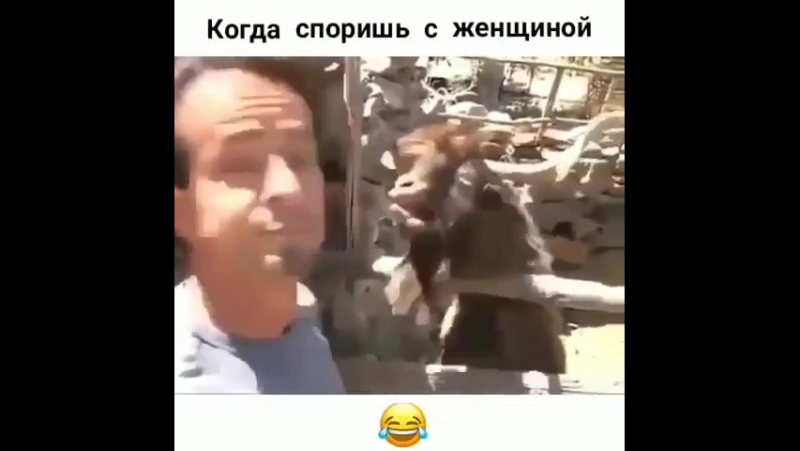 Почему не стоит спорить с женщиной