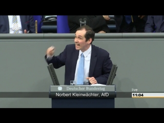 Norbert kleinwächter afd herr scholz deutschlands grösstes problem ist ihre naivität