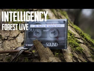 Intelligency forest live