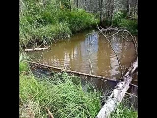 Прогулялся со спинингом🎣