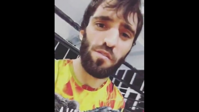 Конору советуют извиниться