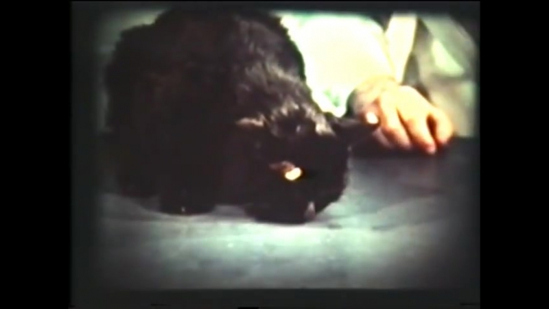 Антидепрессанты, депрессия, суицид, психология