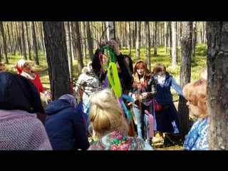 Зеленые святки