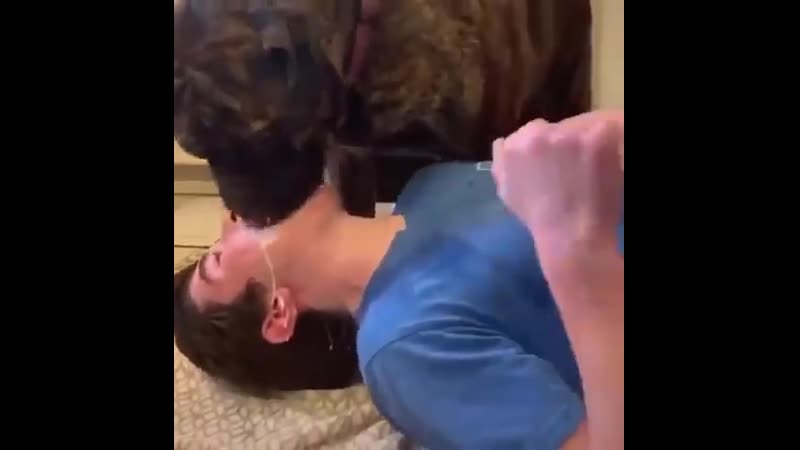 Миска для молодые