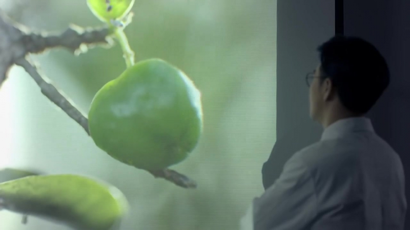 Nutrilite vitamin c from amway