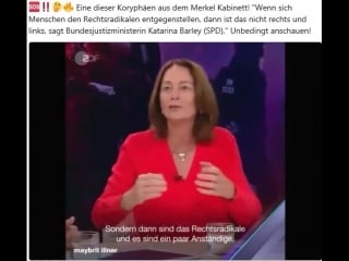 Bundesjustizministerin katarina barley (spd) gibt irre statements und die bullen