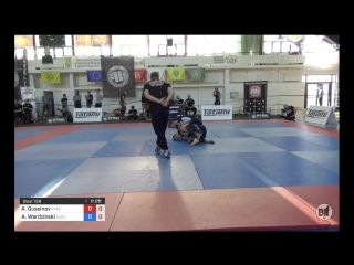 Abdulbari guseinov vs adam wardzinski 1st adcc european trials