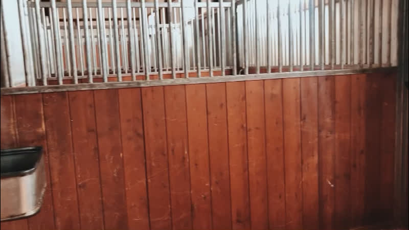 Постой в maxima stables