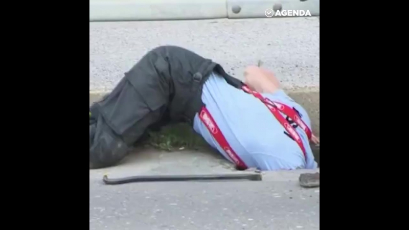 Как спасали утят