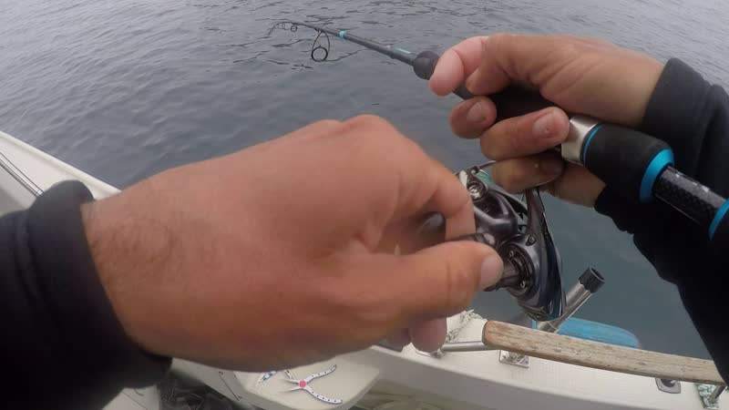 Как higashi team с андреем старковым на пилькера ловили