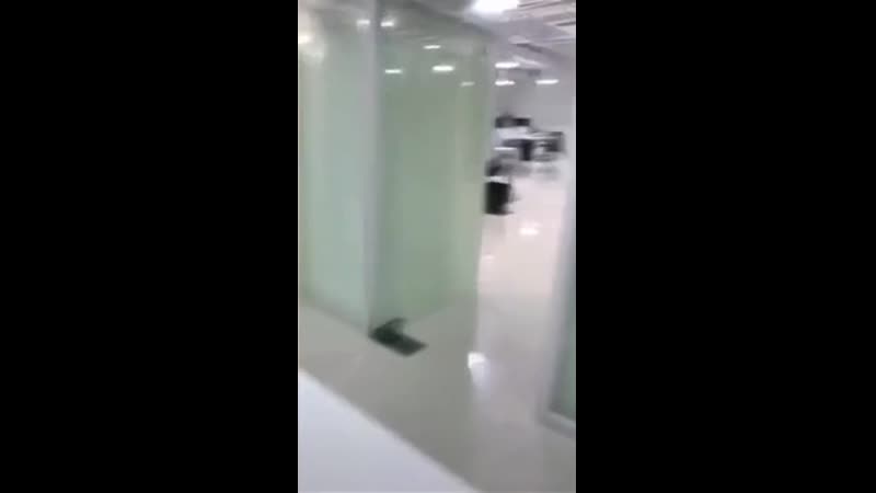 Обманули собакена