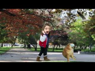 Cheems what the heck