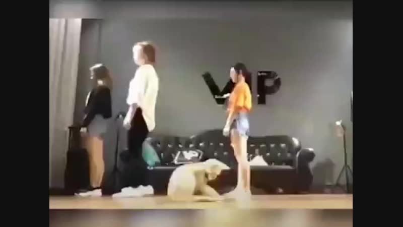 Котейка брейкдансер