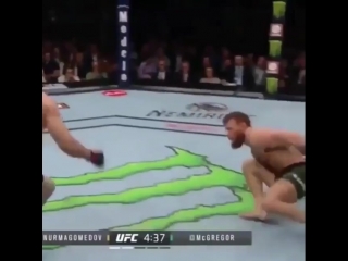 Pabblo muz 20181007 0001 mp4