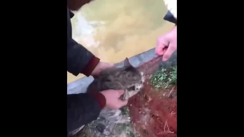 Разборка рыбацкая [ ]