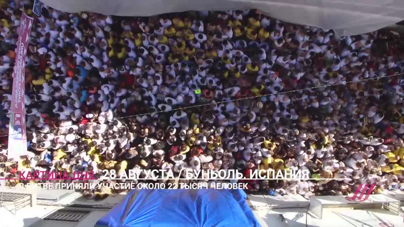 Тонны помидоров и тысячи участников в испании прошел фестиваль «томатина»