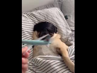 Спим крепко