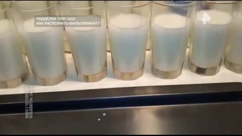 Подделки повсюду как распознать фальсификат