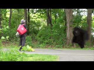 Classic gorilla in real life hidden camera prank