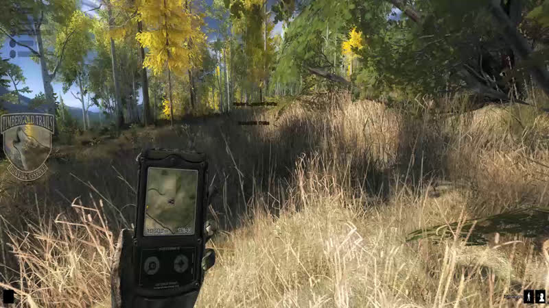 Thehunter classic #caçada e bate papo