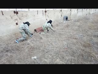 "вдоль забора" paintball aktau