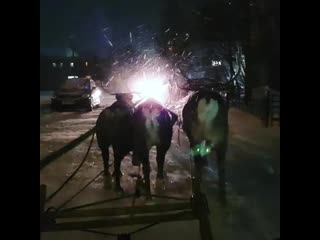 Natasha pin 20200102 081532 0 mp4