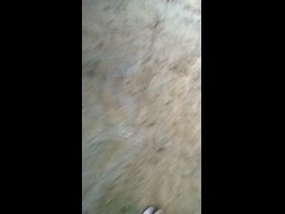 Video 20200906 172046 mp4