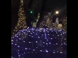 Вечером в парке лога!