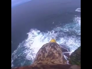 This is incredible an eagles view as it soars through the sky