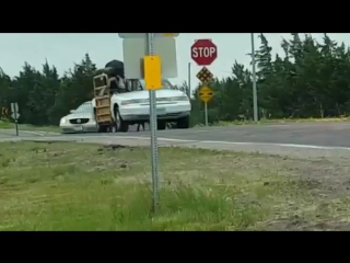 Когда быки едут на разборку