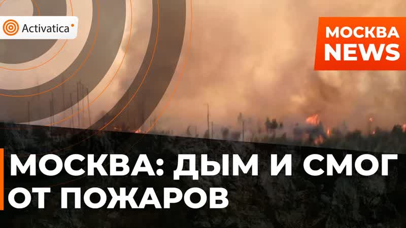 Чем дышат москвичи? насколько вреден дым от лесных пожаров?