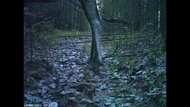 Самые стройные ноги нижне свирского заповедника