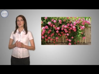 40 биология 6кл семейство розоцветные