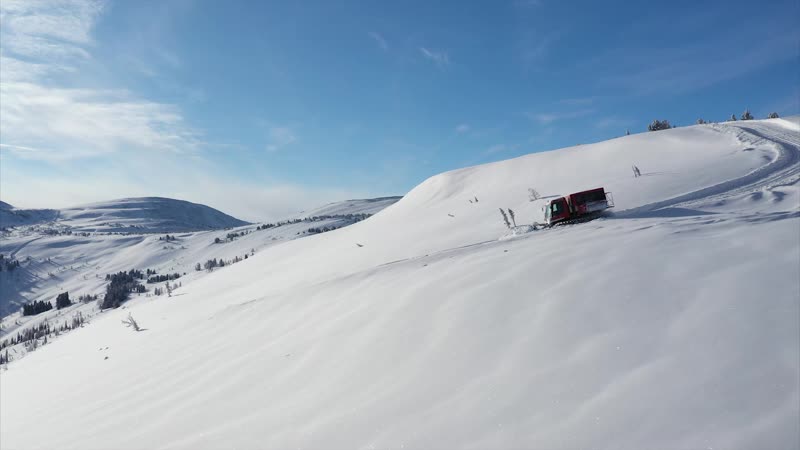 Фрирайд на ратраках с black cat freeride