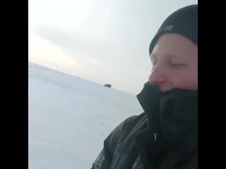 Шикарный экземпляр ibrfhysq 'rptvgkzh