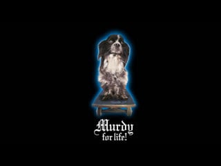 Shake junt shrimp blunt video