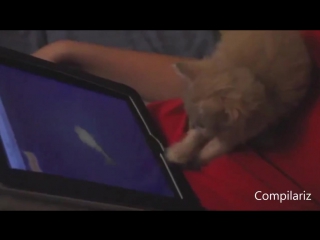 Porn playing on ipads compilation (1)