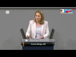 Whistleblower richtlinie der eu big union is watching you now! corinna miazga afd fraktion (720p 30fps h264 128kbit aac)