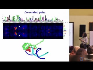 Эволюция регуляторных систем (михаил гельфанд, мгу, иппи ран) летняя школа по биоинформатике