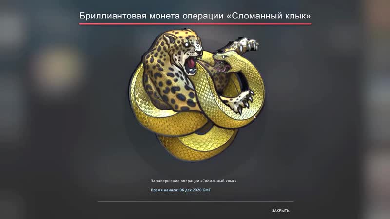 [drushlaktv] патруль в ксго что он творит? это про игрок?